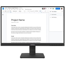 Écran Lenovo Think Vision S22-4e 21.5" FHD 4ms GtG IPS 100Hz HDMI/VGA / BLACK - Lenovo