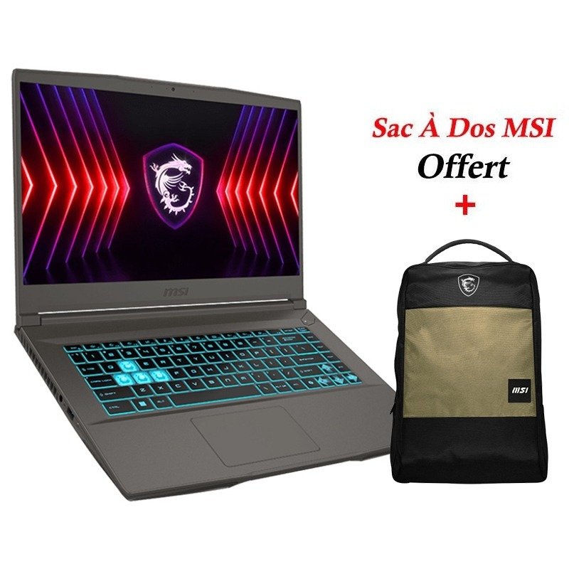 Pc Portable Gamer MSI Thin 15 B13UCX i5 13Gén 24Go 512Go SSD Windows 11 Pro - MSI