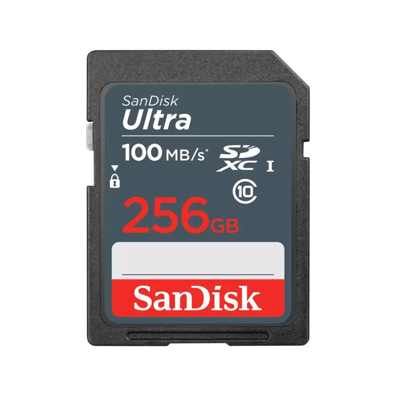 Carte Mémoire Sandisk Ultra Sdhc 256 GB Class 10 – SDSDUNR-256G-GN3IN - SanDisk
